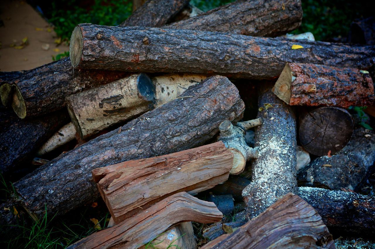 Orchard Canyon On Oak Creek Седона Екстериор снимка