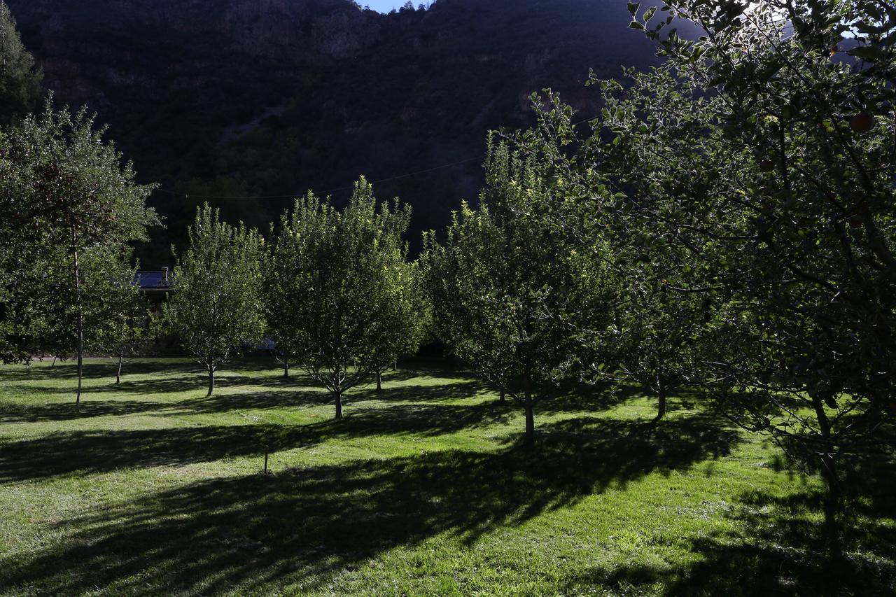 Orchard Canyon On Oak Creek Седона Екстериор снимка