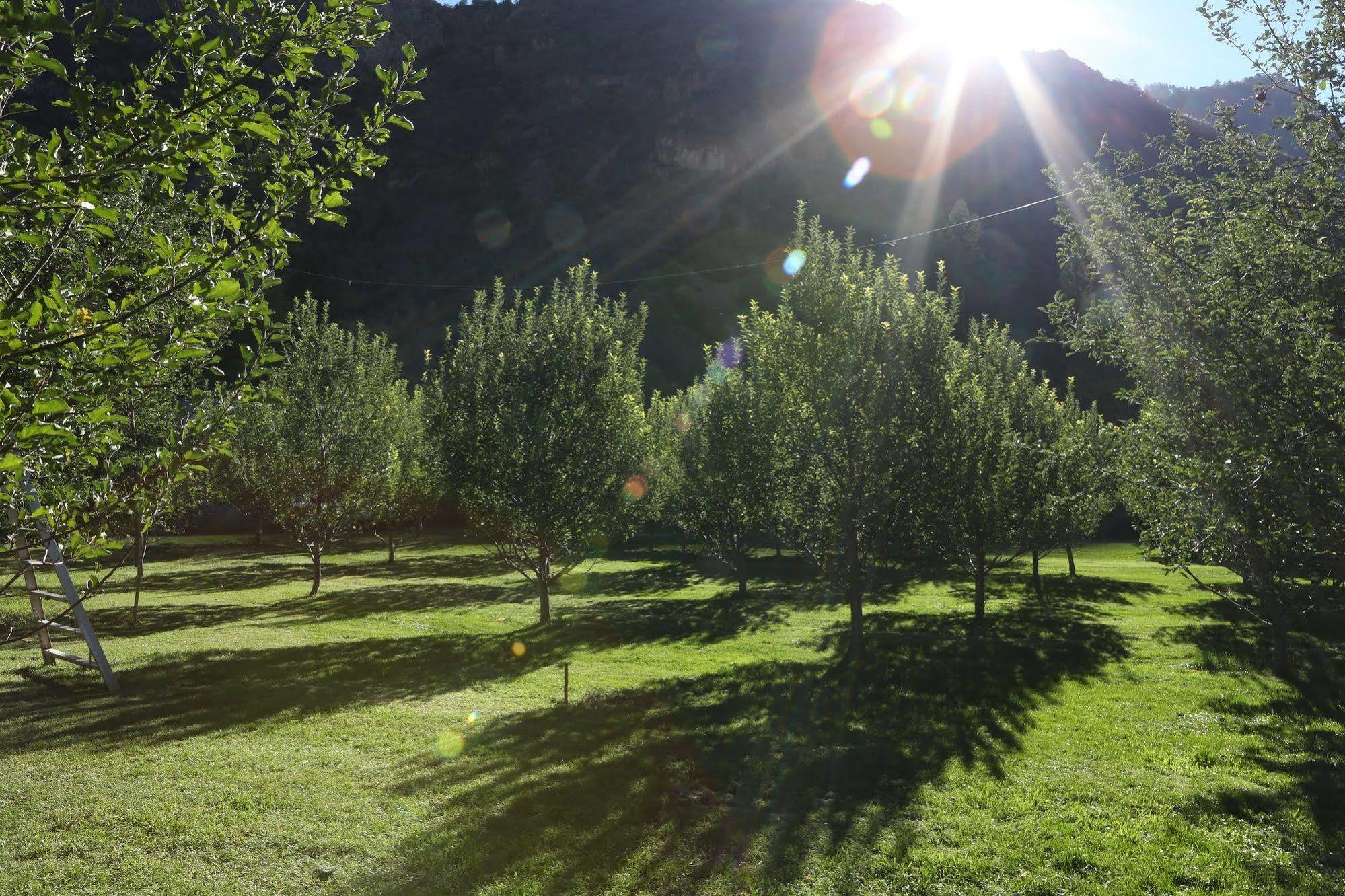 Orchard Canyon On Oak Creek Седона Екстериор снимка